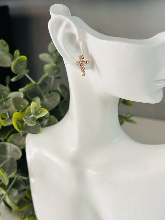 "At the Cross"- Stainless Steel Earrings